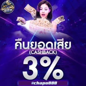 คืนยอดเสีย 3%