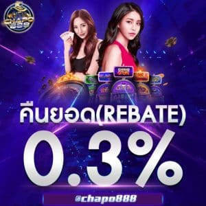 คืนยอดเสีย REBATE